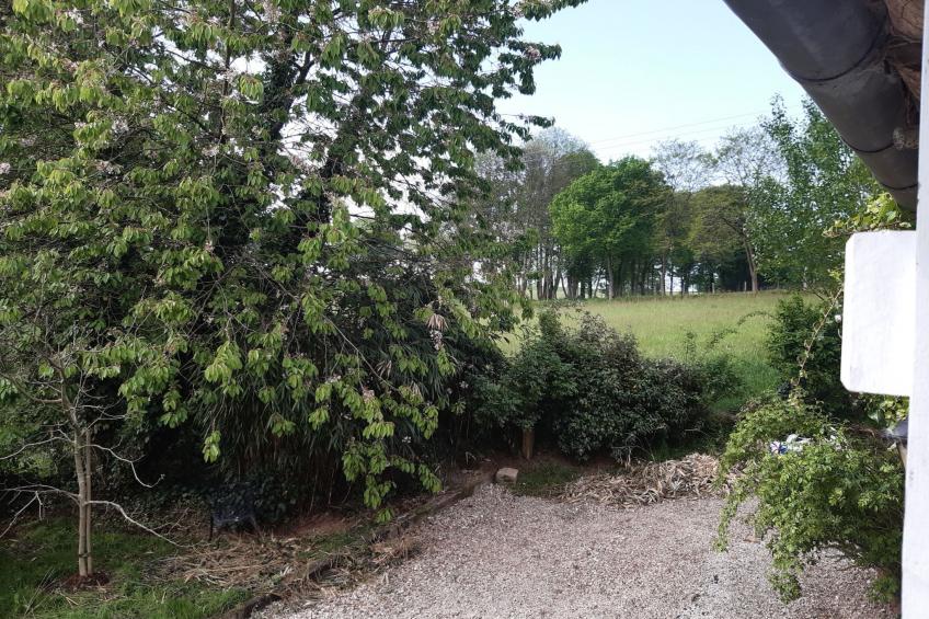 Finca "Motje" mit Aussicht - foto 21