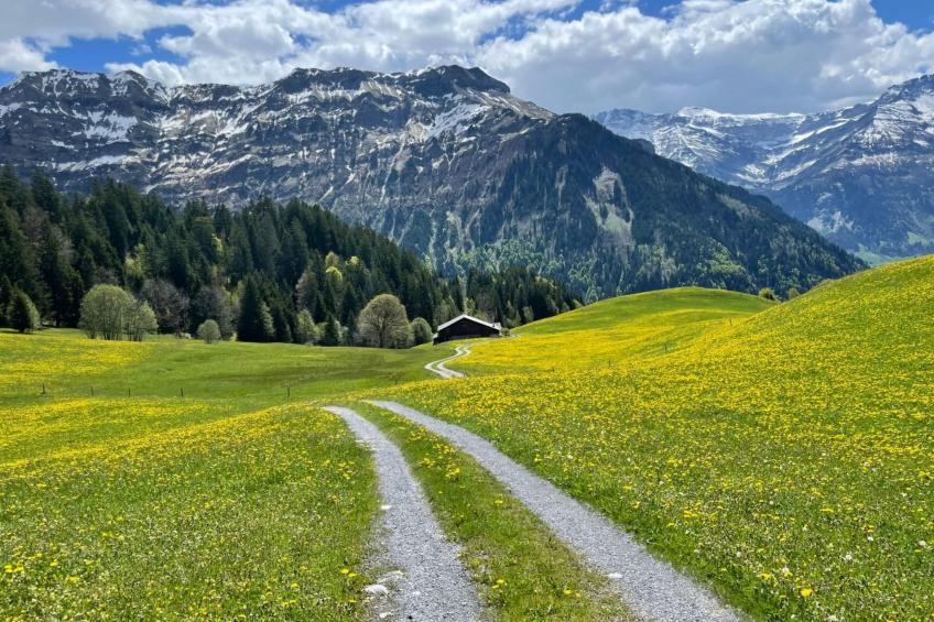 Mattishüüsli - foto 9