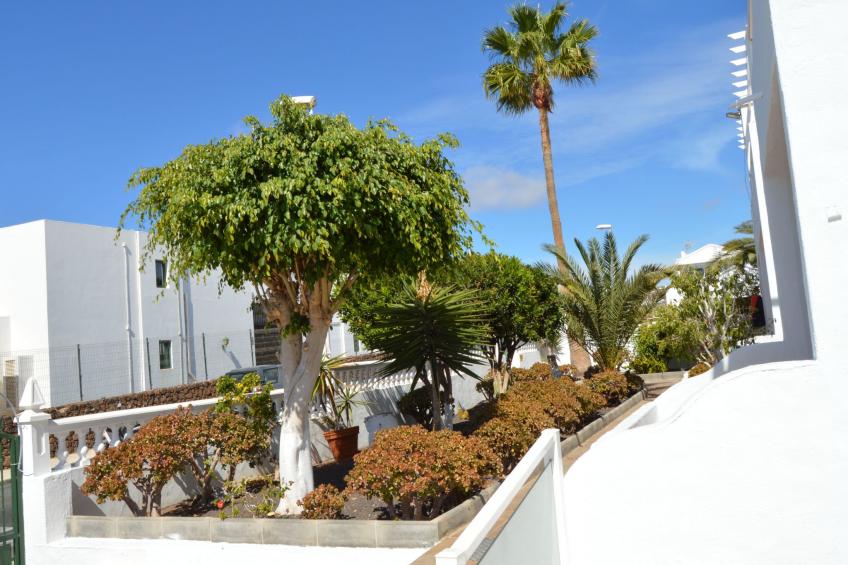 für 5 Personen ca. 65 m² in Puerto del Carmen, Lanzarote (Südküste von Lan - foto 31