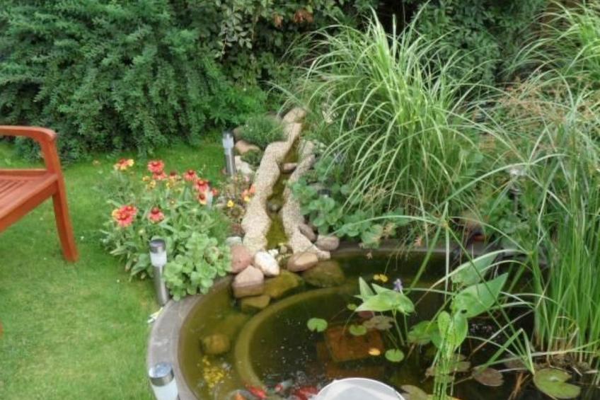 Luxus-Ferienwohnung für Ruhesuchende in der Natur - foto 14