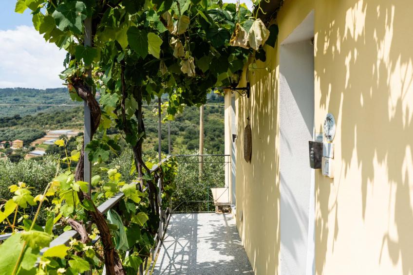 Olive Lodge - foto 31