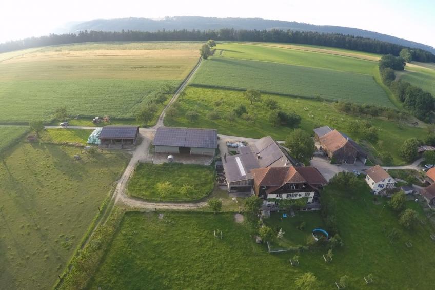 Appartement - Serena, (Courtetelle), - foto 17