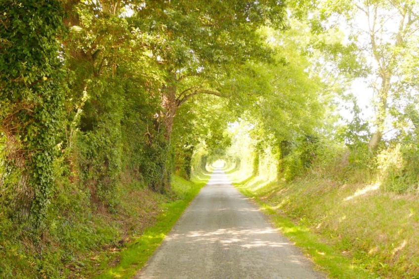 Gite Le Jonquet - foto 24