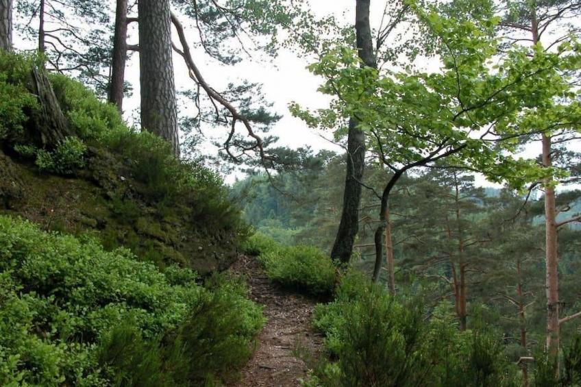 in Walscheid mit Terrasse, Grill - foto 32