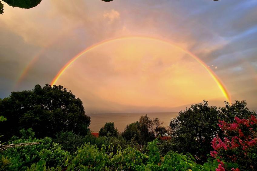 mit Balkon und Terrasse - foto 6