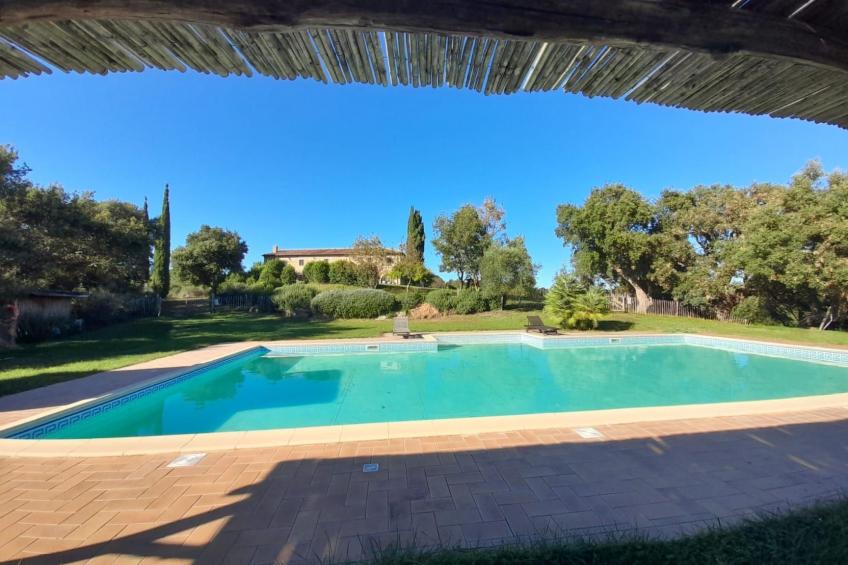 Wohnung mit Terrasse