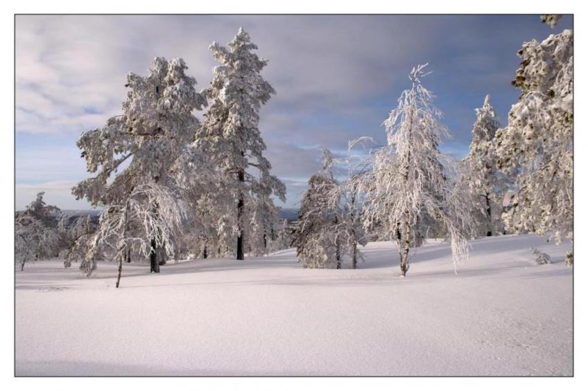 Abbas Stugby 14 - foto 37