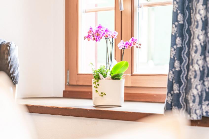 Chesa Michel Roseg - foto 25