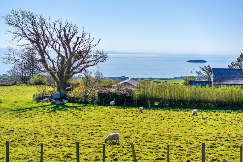 Argraig - foto 28