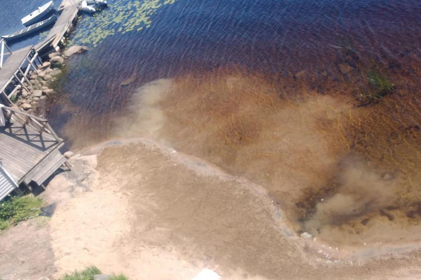 Schwedisches Glück, zwischen Wäldern und einem See - foto 51