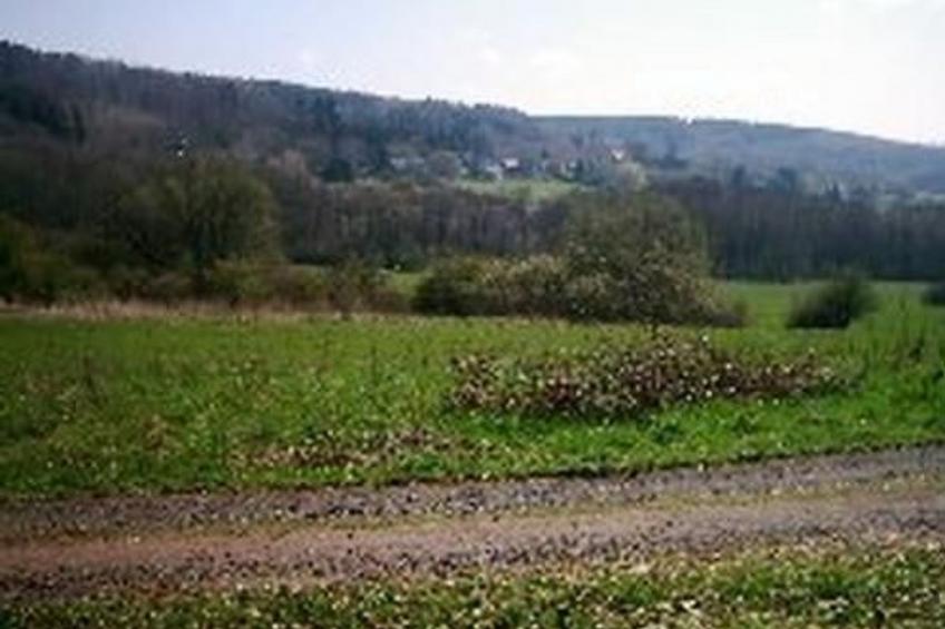 FEWO Juliana - foto 14