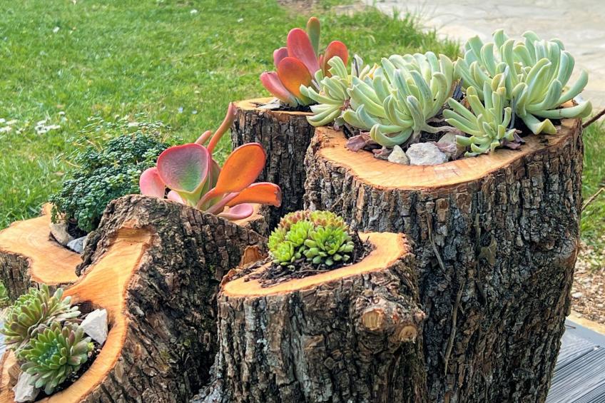 mit privatem Pool - foto 23