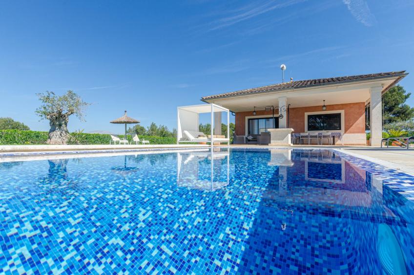 YourHouse Villa Romani - foto 11
