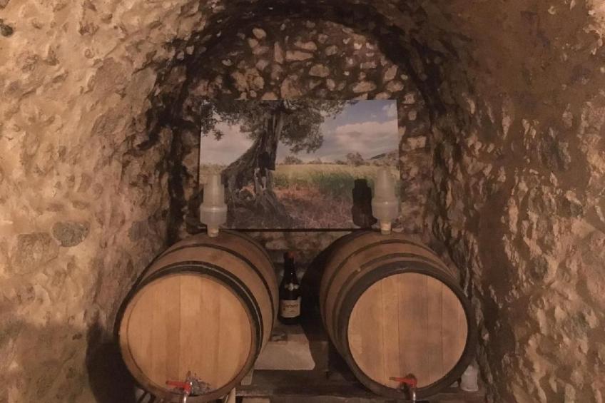 Großes Studio mit Terrasse mit Meerblick - foto 14