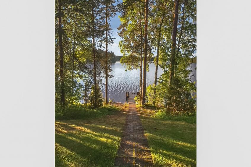 Palkinniemi - foto 4