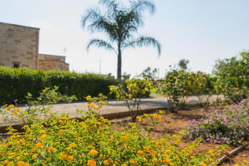 'Unità Mirto - foto 3