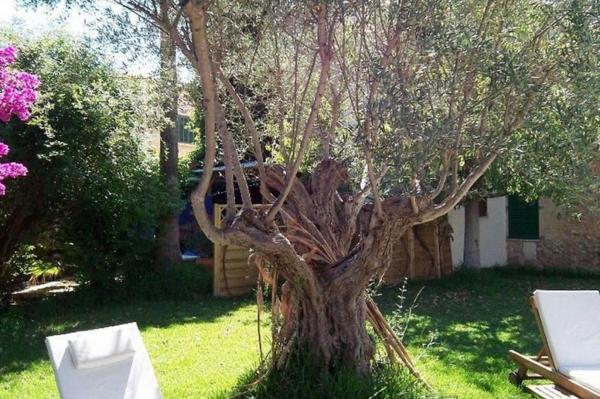 Garten Appartment - foto 47