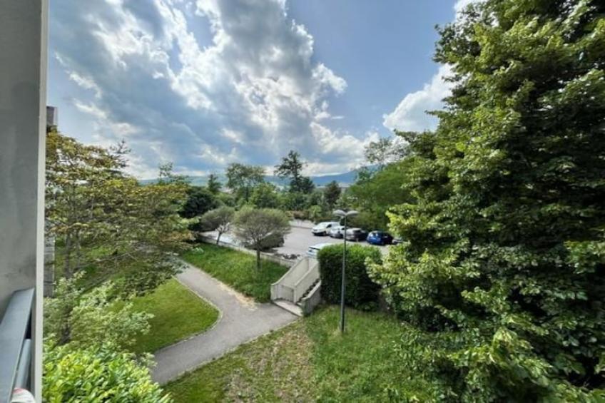 Adonis Divonne-les-Bains T2 Park side - foto 30