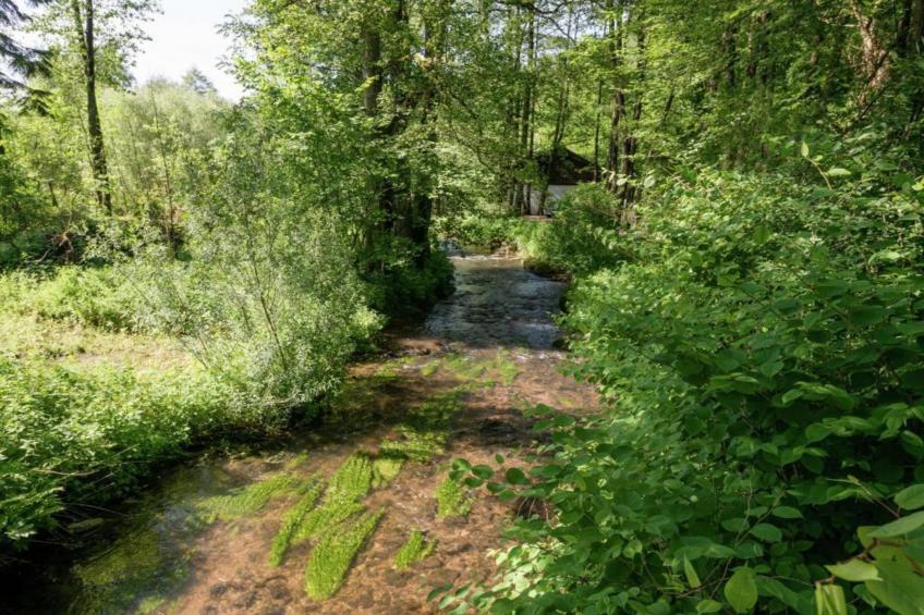 Vijverzicht - foto 33