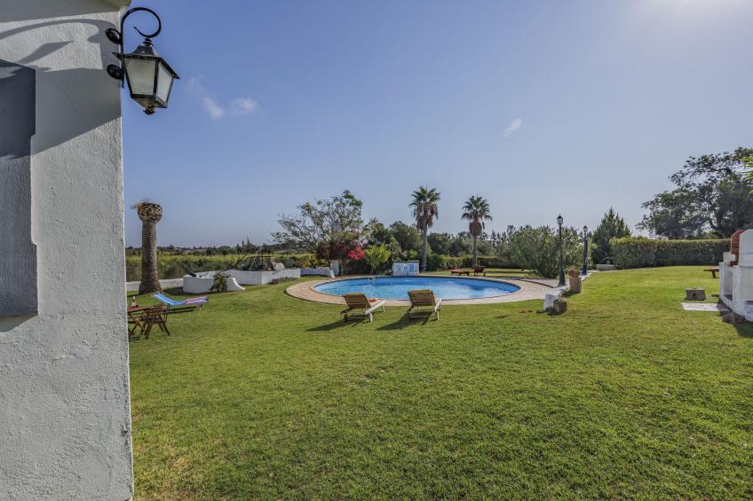 Jardim do Sul - foto 18