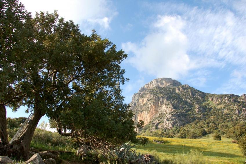 Villa 'Lagarin' mit Terrasse - foto 32