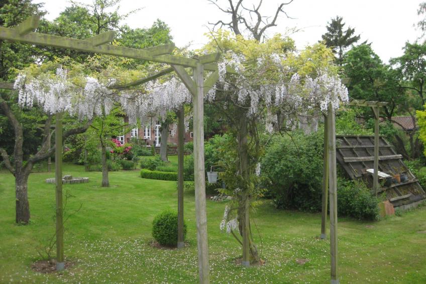 in ehemaliger Dorfschule am Dorfrand - foto 21