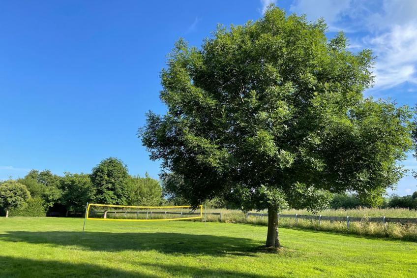 mit Balkon - foto 29