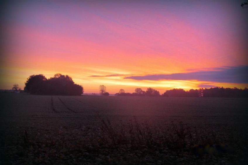 - Uns lütt Hüsung - foto 9