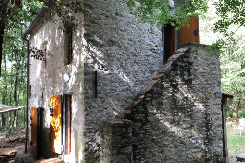 Kirschbäume, eine Oase im Wald zwischen Meer und Natur - foto 2