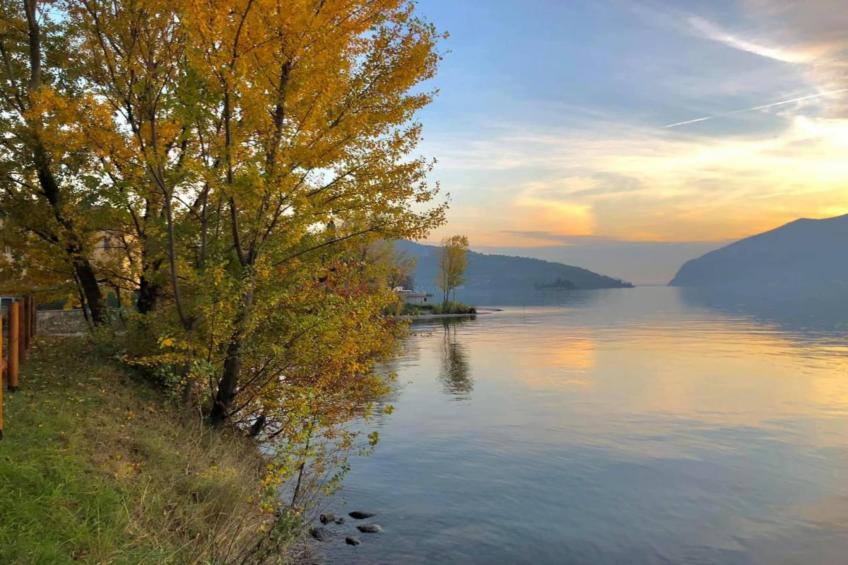 Bellavista - foto 39