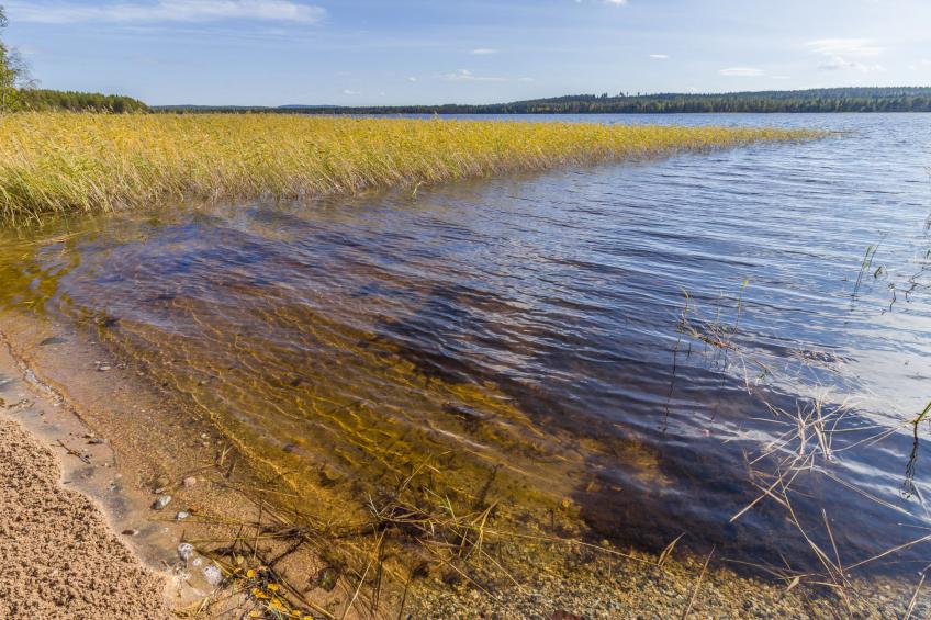 Niittyvilla - foto 23