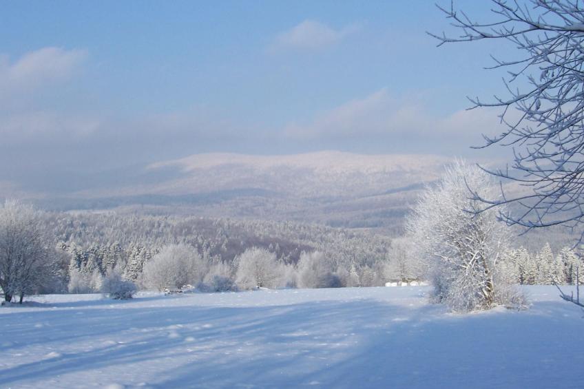 Ferienhaus - foto 21