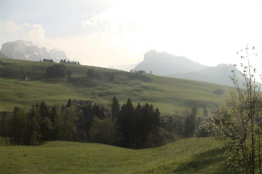 Sutter in Brülisau bei Appenzell - foto 14