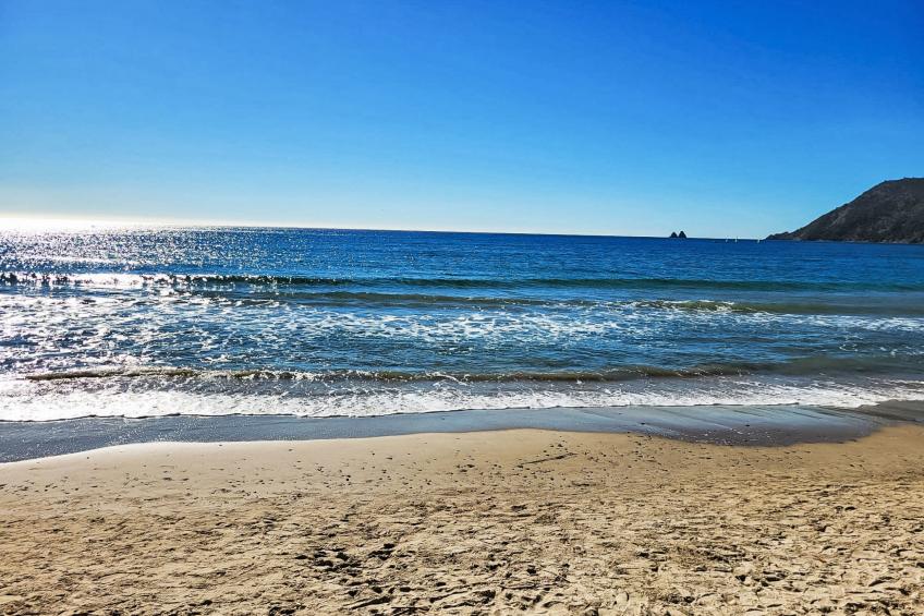 La Croisette - foto 15