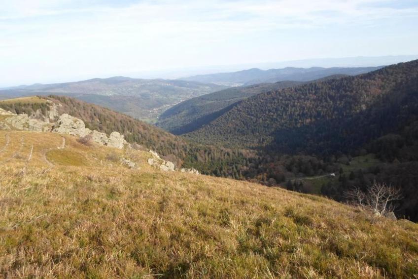 Domaine Des Messires 2 - foto 34