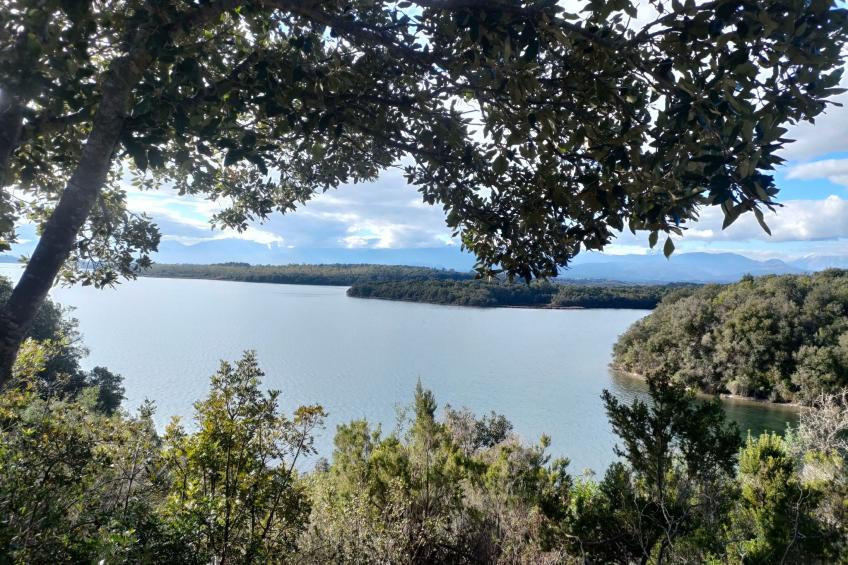 Wohnung "Authentisches korsisches Haus" - foto 11