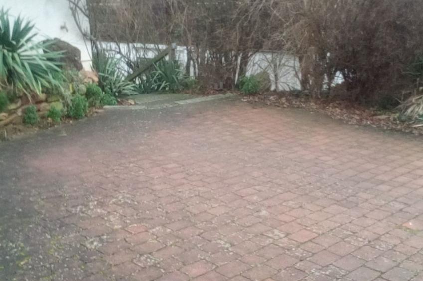 Urlaub am Feigenbaum in Nußloch - foto 8