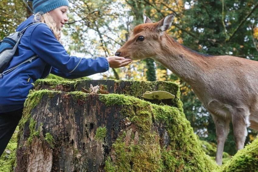 Brunni-Alpthal direkt an den Mythen-Bergen - foto 30