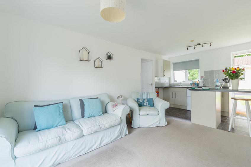 The Birches - foto 10