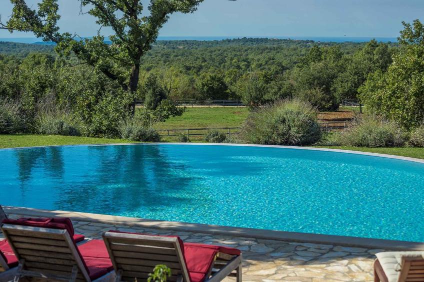 Villa in een idyllische omgeving, met zwembad - BF-DZHHZ - foto 12