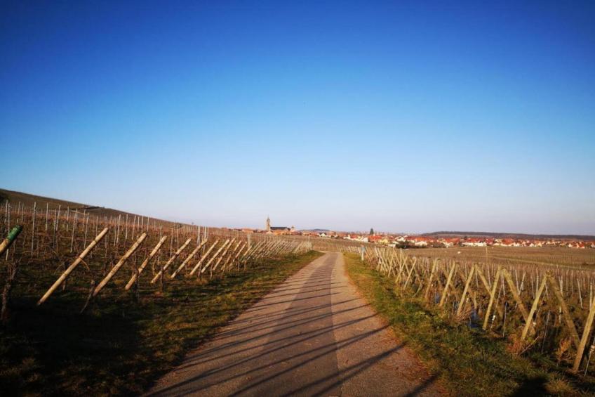 Magnifique Appartement Alsacien - foto 30