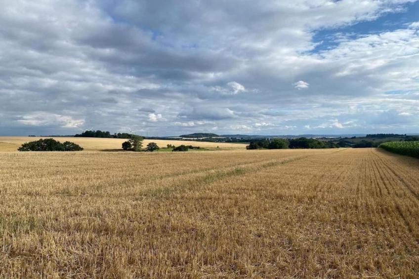 Im Teutoburger Wald - foto 23