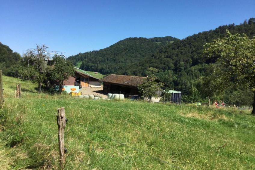 Hof unterer Dürrenberg / Langenbruck - foto 9