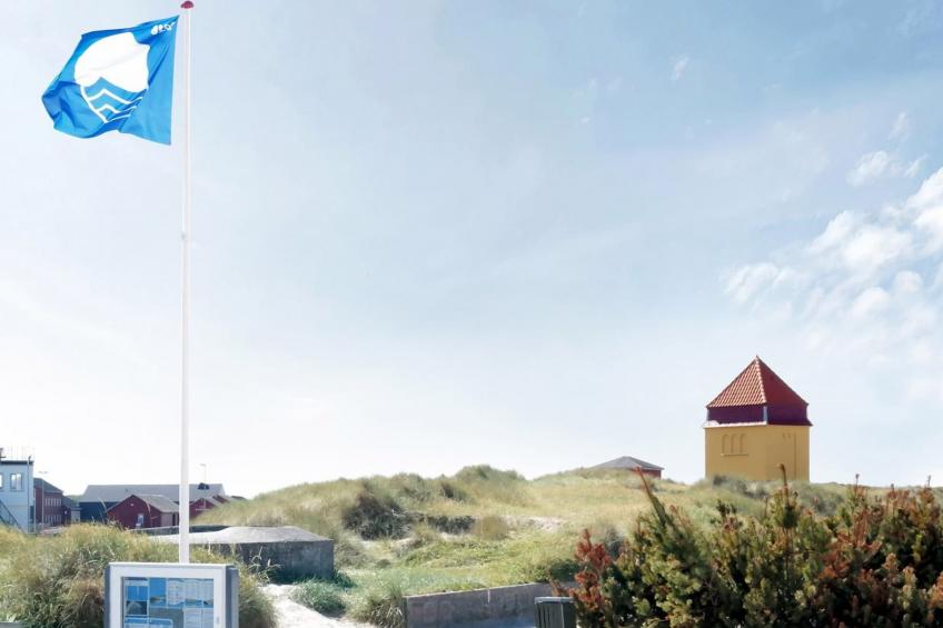 "Eluisa" - 300m from the sea in Western Jutland - foto 13