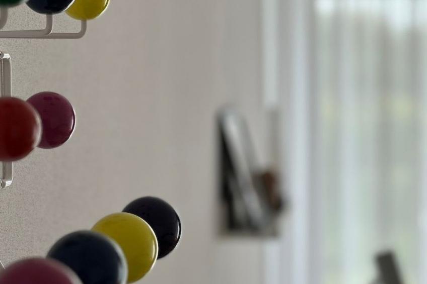 BLICKinsGRUEN - foto 53