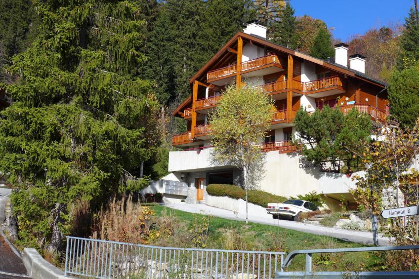 Le Torrent - foto 27