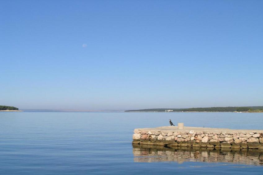 Blanka B2 - Shared Jacuzzi, Magical Garden - foto 35