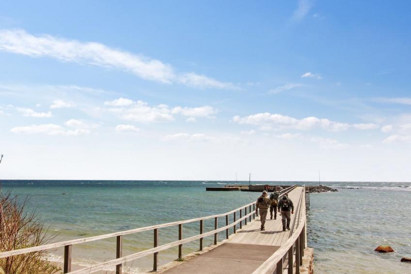 "Kita" - 150m from the sea in Bornholm - foto 24