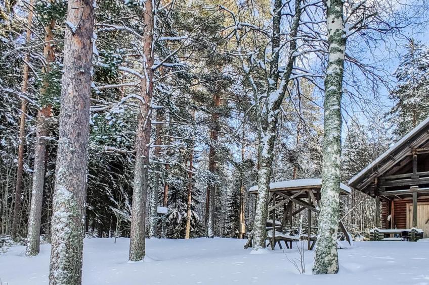 Sillanpään lomamökit - foto 39