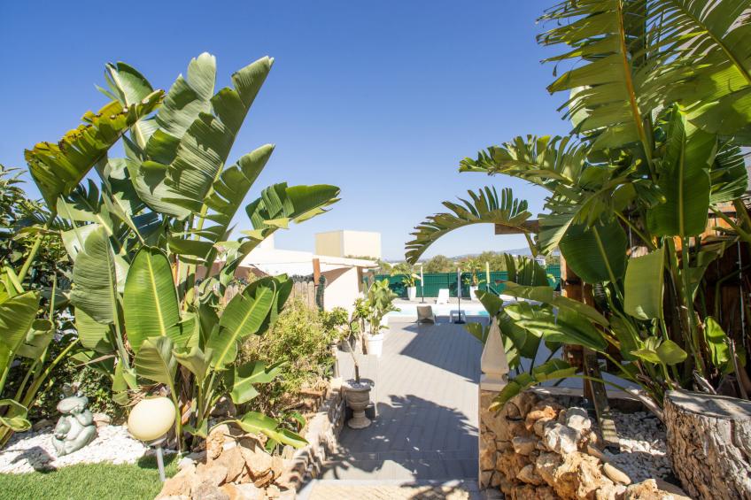 Bela Vista - foto 26